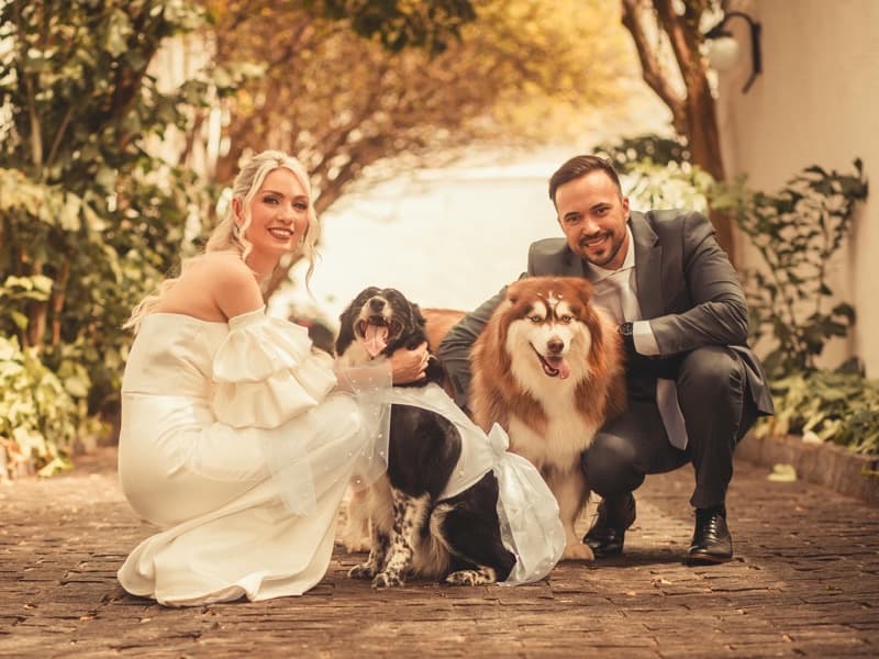 Gnarly Paws Wedding Co.
