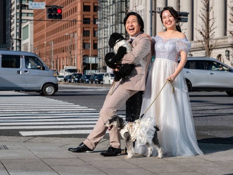 941 Chelsea's Furry Friends